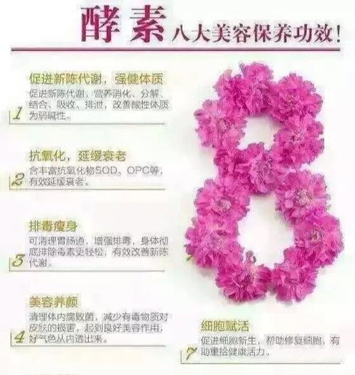 自制养生酵素，打造健康生活（简单易学的养生酵素制作法）-第2张图片-美味行家