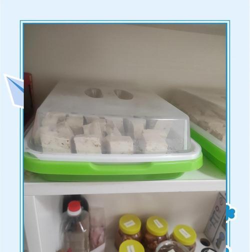 自制豆腐乳的简易做法（健康无添加，口感鲜美）-第1张图片-美味行家