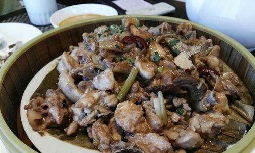 以珊瑚金针为主角的美味佳肴（探秘珊瑚金针的制作方法及多种食用方式）-第2张图片-美味行家