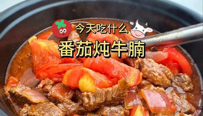 炖牛腩的绝佳做法（以西红柿为主材料，口感鲜美不油腻）-第3张图片-美味行家