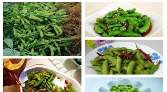 家常美味（做法简单，口感鲜美，快来一起动手吧！）-第2张图片-美味行家