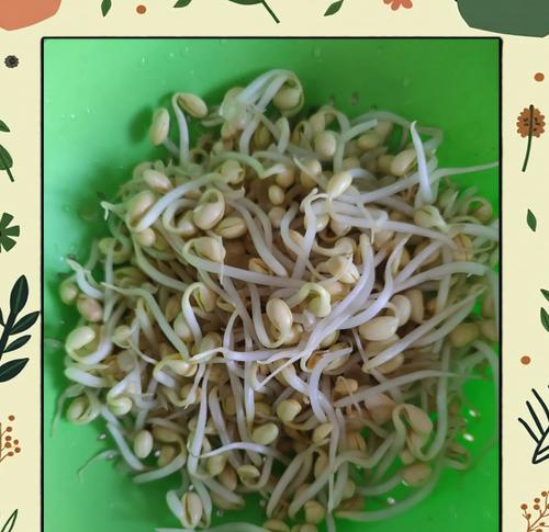 家常美食（美味可口的打卤面让你回味无穷，轻松学会家常做法）-第1张图片-美味行家