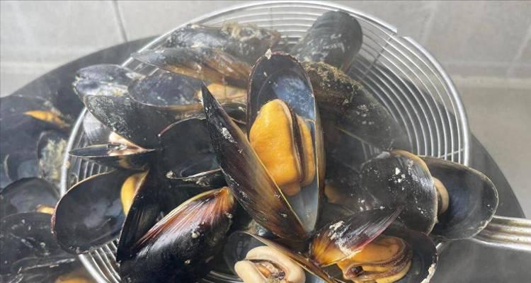 以香炸海虹，美食新体验（海鲜之王，炸香迷人。）-第2张图片-美味行家