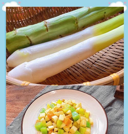 健康美食（探秘素食世界的美味与营养，享受双丁带来的鲜美口感）-第2张图片-美味行家