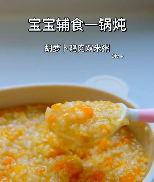 养生鸡蓉粥做法全解析（美味又健康，脾胃虚弱者的最佳选择）-第2张图片-美味行家