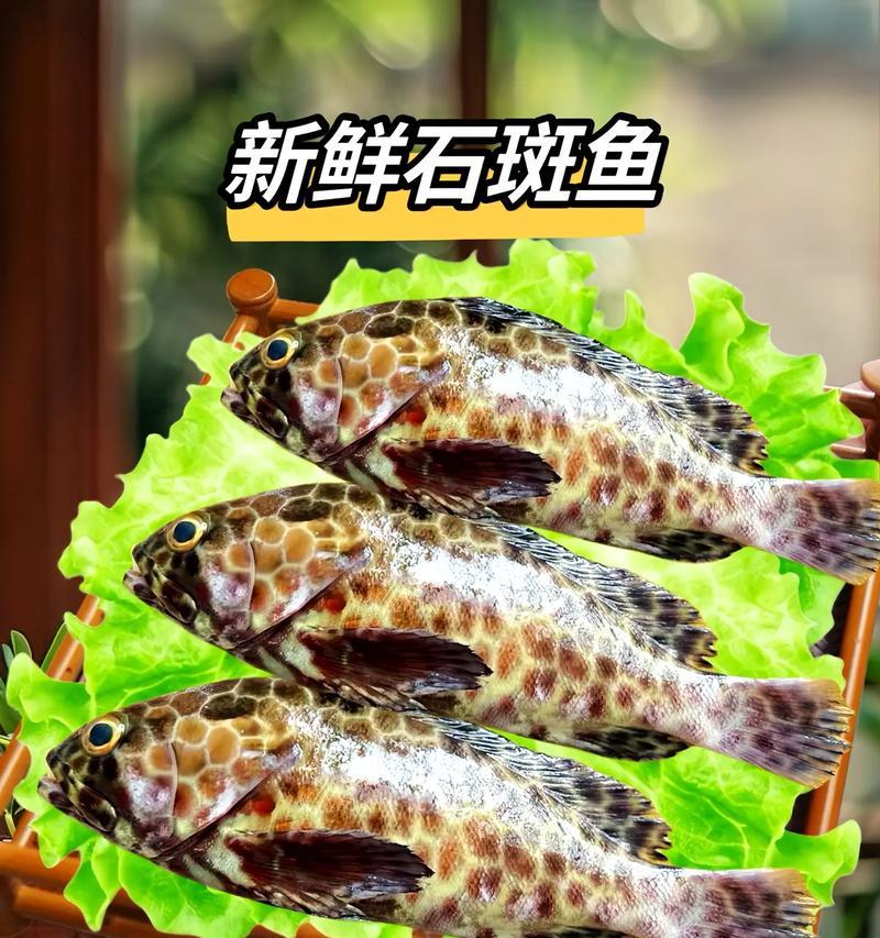 清蒸石斑鱼的做法（健康营养，清香可口）-第2张图片-美味行家