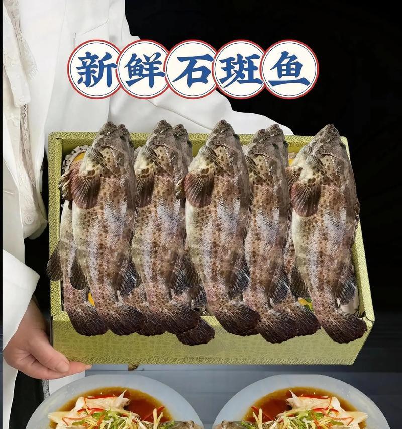 清蒸石斑鱼的做法（健康营养，清香可口）-第3张图片-美味行家