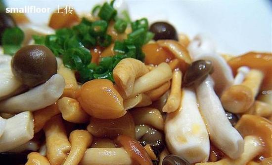 美味草菇烩豆腐，家常好滋味（简单易学的做法让你在家也能享受饕餮盛宴）-第1张图片-美味行家