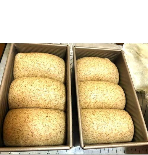 享受健康美味，自制全麦奶香吐司面包（健康生活从早餐开始，手工制作全麦奶香吐司面包让你爱上健康饮食）-第3张图片-美味行家