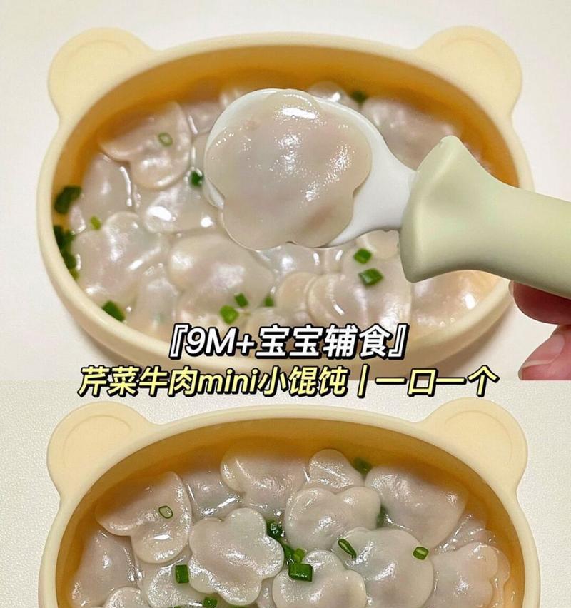 宝宝营养美味的迷你小云吞制作指南（让宝宝享受健康的营养美食）-第3张图片-美味行家