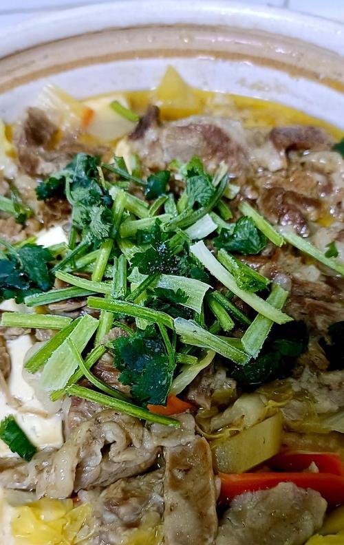杂面羊肉煎包，口感鲜美的北方小吃（教你制作杂面羊肉煎包，做出鲜嫩多汁的美食！）-第3张图片-美味行家