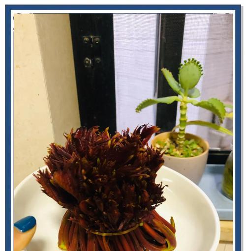 香椿芽滑蛋的做法（家常美食，简单易学，健康营养）-第1张图片-美味行家