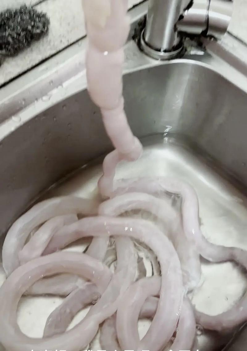 猪肠清洗技巧大揭秘（从选材到清洗，让你轻松掌握猪肠清洗技巧）-第2张图片-美味行家
