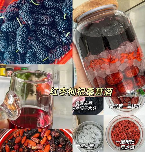 如何制作美味自酿桑葚酒（掌握家庭自酿桑葚酒的秘诀，让你品尝到最纯正的味道）-第2张图片-美味行家