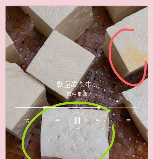 手制豆腐乳的完美做法（从制作到保存，你需要知道的一切）-第3张图片-美味行家