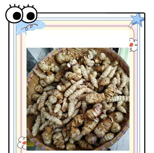 如何制作最简单的糖蒜（只需三步，美味又简单/糖蒜做法分享/糖蒜的功效与好处）-第1张图片-美味行家