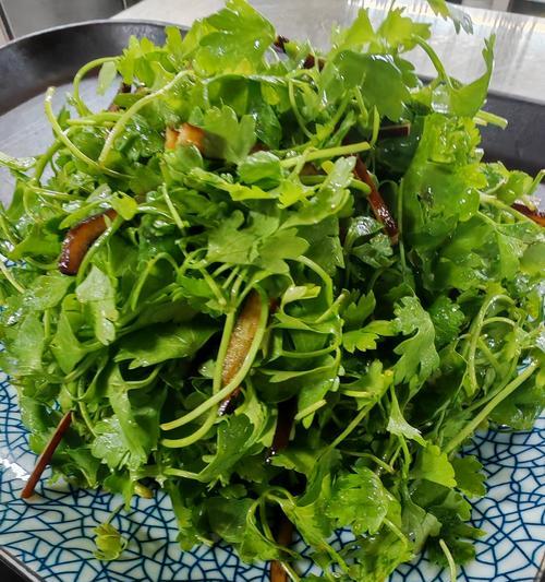 芫荽拌香干的做法（打造清新口感，享受健康美味）-第3张图片-美味行家