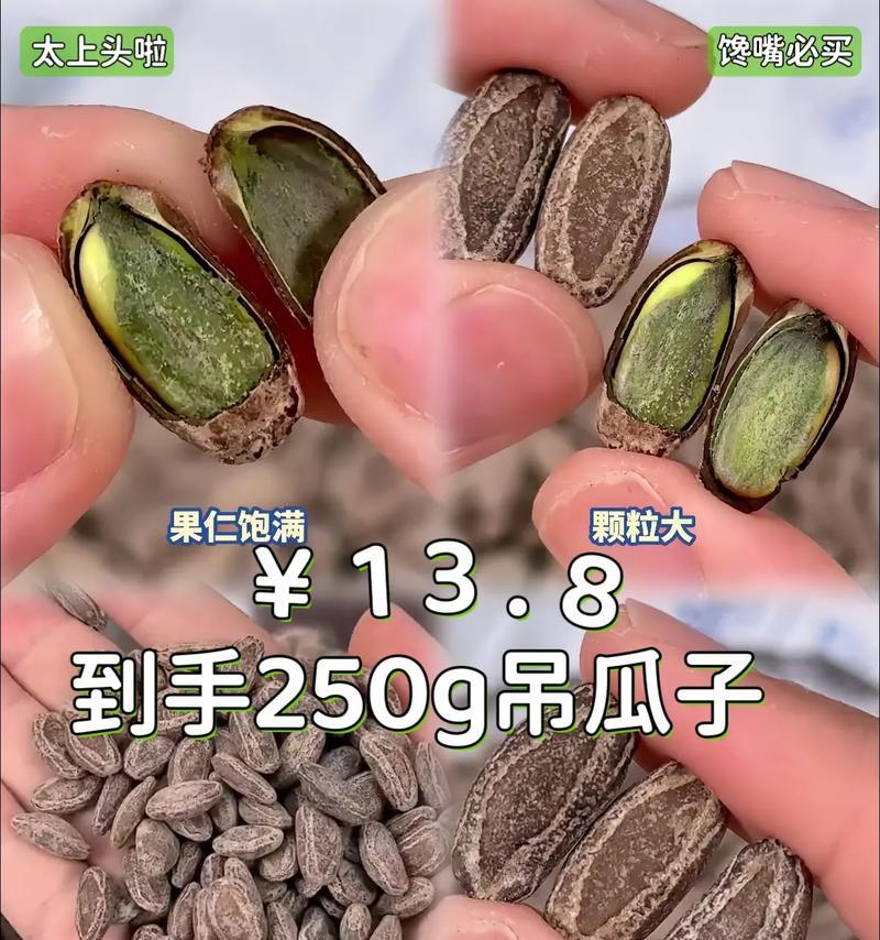 手把手教你现炒瓜子的做法（从选材到烘烤，让你轻松制作出香脆美味的瓜子）-第2张图片-美味行家