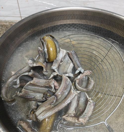 两种美味的鳝鱼做法（口感独特，香气四溢的鳝鱼佳肴）-第2张图片-美味行家