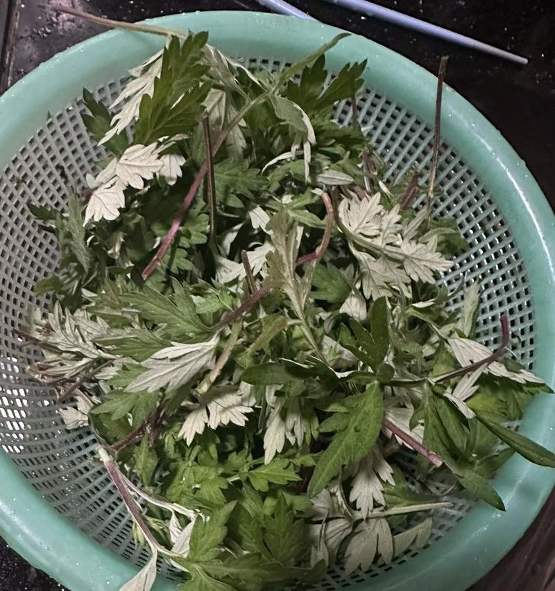 艾叶煎蛋，让你健康有滋味（从选料到烹饪，全面掌握艾叶煎蛋做法）-第3张图片-美味行家