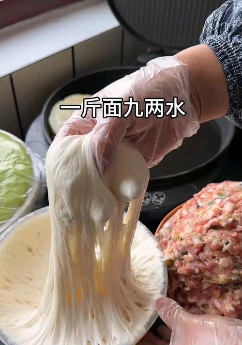 美味可口的三鲜馅儿馅饼制作方法（用新鲜食材，制作健康可口的三鲜馅儿馅饼）-第2张图片-美味行家