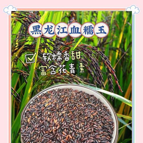 自制血糯米冰淇淋（做法详解，口感顺滑，营养丰富）-第2张图片-美味行家