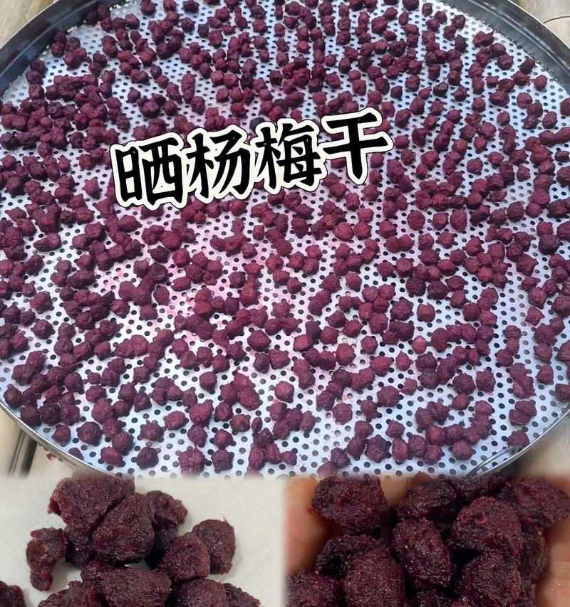 手工DIY，制作美味的杨梅干（享受纯天然的美食盛宴，做出口感鲜美的杨梅干）-第3张图片-美味行家