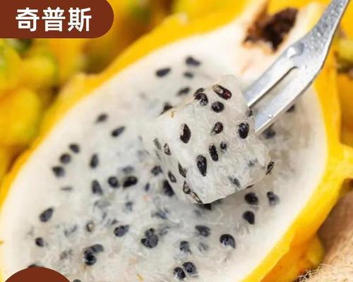 白心火龙果汁的做法（制作鲜美营养的白心火龙果汁，享受健康生活）-第2张图片-美味行家