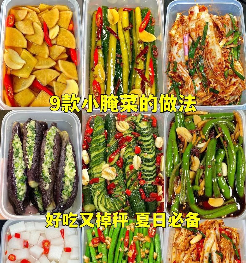 用孙氏素菜盒轻松入门素食做法（挑战口腹双满的美味佳肴，）-第3张图片-美味行家