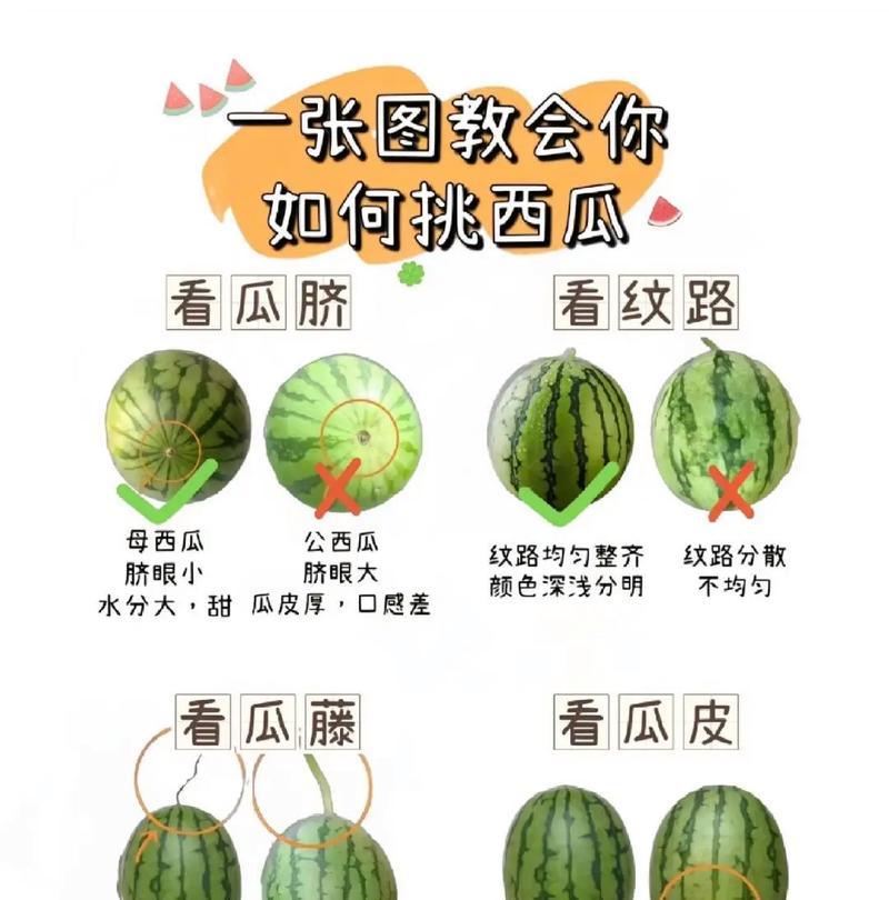 如何制作像小树一样的西瓜（打造精致水果盘，西瓜小树来帮忙）-第1张图片-美味行家