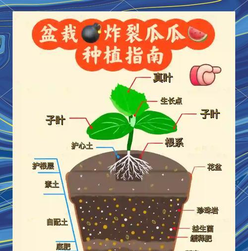 如何制作像小树一样的西瓜（打造精致水果盘，西瓜小树来帮忙）-第2张图片-美味行家